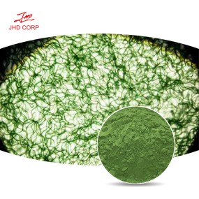 Chlorella Powder Supplier - OEM High Protein Chlorella Vulgaris Extract