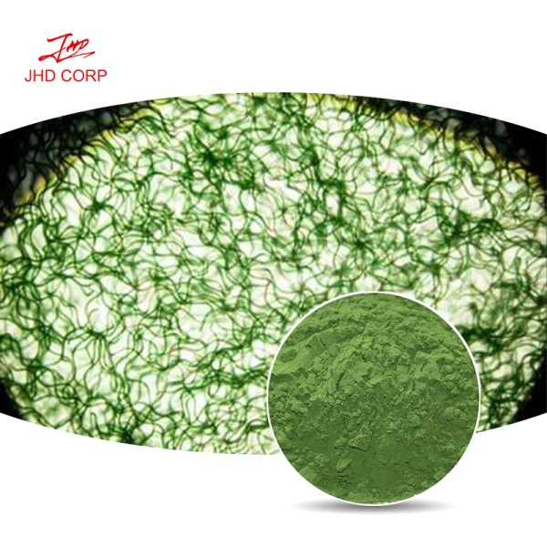 Chlorella Powder Supplier - OEM High Protein Chlorella Vulgaris Extract