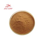 Fenugreek Extract Manufacturer - ODM 20% 50% 60% Saponins Fenugreek Powder