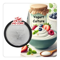 Probiotics Powder Manufacturer - ODM 10 Billion CFU/g Yogurt Starter Culture