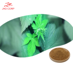 Devils Claw Extract Supplier - OEM Natural Harpagosides Root Extract Powder