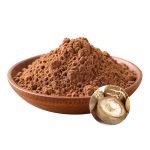 Shiitake Extract Powder Manufacturer - OEM Natural Vitality Wellbeing Support