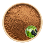 Mulberry Leaf Extract Factory - OEM Herbal Blends Health Products