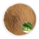 Okra Extract Supplier - OEM Clean Label Beauty Personal Care