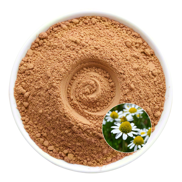 Chamomile Extract Powder Factory - OEM Relaxation Promotion Wellness