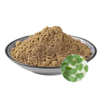 Ivy Leaf Extract Factory - OEM Natural Vitality General Health
