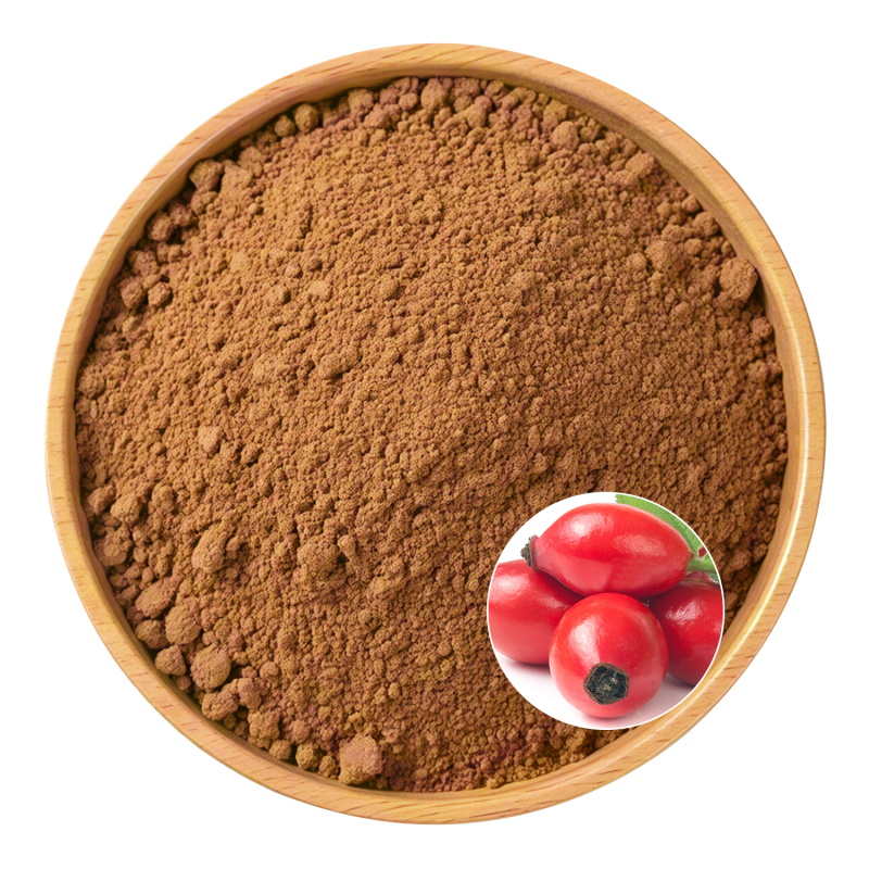 Rose Hip Extract Powder Manufacturer - OEM Natural Health Wellness Promotion