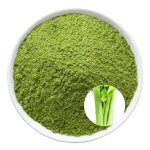 Celery Juice Powder Factory - OEM Vegan Plant Based Nutrition