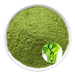Celery Juice Powder Factory - OEM Vegan Plant Based Nutrition