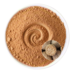 Nutmeg Powder Factory - OEM Cooking Baking Spicy Flavor Kick