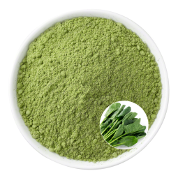 Spinach Powder Factory - OEM Freeze Dried 300 Mesh Beverage Powder