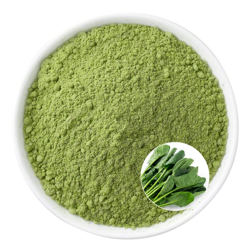 Spinach Powder Factory - OEM Freeze Dried 300 Mesh Beverage Powder