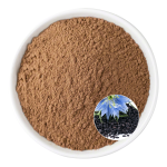 Nigella Sativa Extract Supplier - OEM Herbal Supplement Natural Products