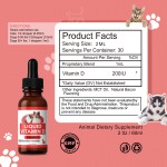 Pet Vitamin D3 Drops Manufacturer - OEM Bone Immune Support Dogs Cats