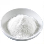 Chondroitin Sulfate Supplier - OEM 99% Pure Bovine Powder Bulk Supply