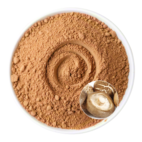 Shiitake Extract Powder Manufacturer - OEM Natural Vitality Wellbeing Support