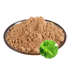 Peppermint Extract Powder Manufacturer - OEM Natural Freshness Wellbeing