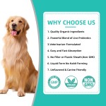 Pet Probiotic Drops Factory - OEM Non-GMO 5 Billion CFU Probiotic