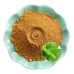 Peppermint Extract Powder Manufacturer - OEM Natural Freshness Wellbeing