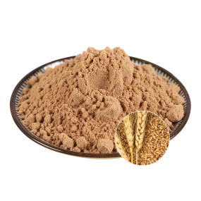 Malt Extract Powder Supplier - OEM Beverage Food Production Flavor
