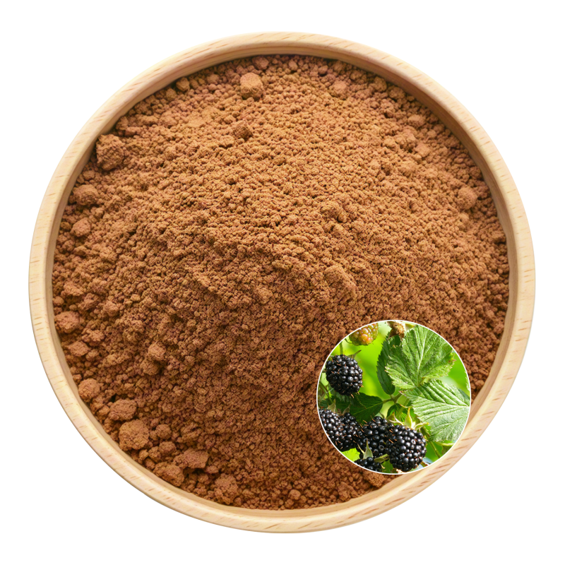 Mulberry Leaf Extract Factory - OEM Herbal Blends Health Products