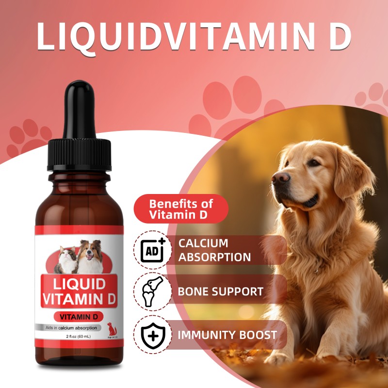 Pet Vitamin D3 Drops Manufacturer - OEM Bone Immune Support Dogs Cats