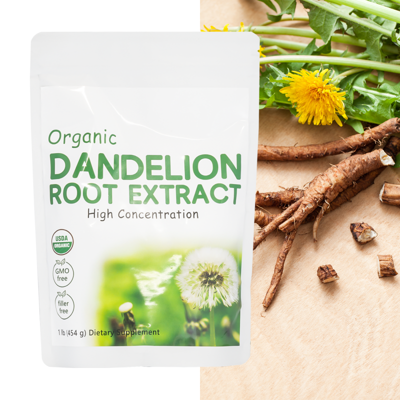 Dandelion Root Extract Manufacturer - OEM Adult Liver Digestive Support