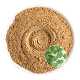 Ivy Leaf Extract Factory - OEM Natural Vitality General Health