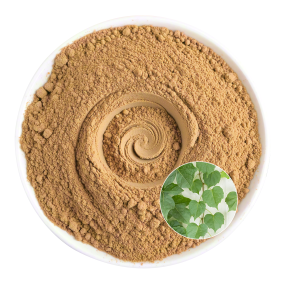 Ivy Leaf Extract Factory - OEM Natural Vitality General Health