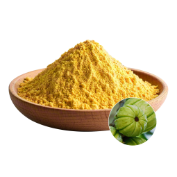 Garcinia Cambogia Factory - OEM Natural Weight Management Support