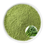 Spinach Powder Factory - OEM Freeze Dried 300 Mesh Beverage Powder