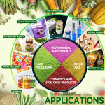 Dandelion Root Extract Manufacturer - OEM Adult Liver Digestive Support