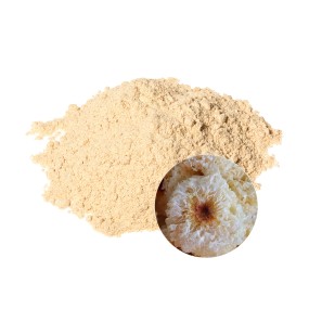 Tremella Extract Powder Manufacturer - OEM Supplement Beauty Product Formulas