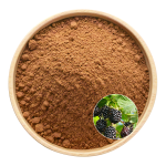 Mulberry Leaf Extract Factory - OEM Herbal Blends Health Products