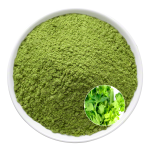 Celery Juice Powder Factory - OEM Vegan Plant Based Nutrition
