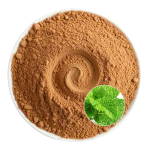 Peppermint Extract Powder Manufacturer - OEM Natural Freshness Wellbeing