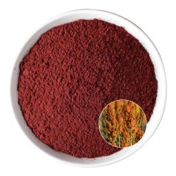 Sorghum Red Powder Manufacturer - OEM Natural Red Color Vegan Meat