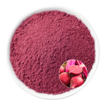 Beetroot Red Powder Manufacturer - OEM Natural Vegan Color Plant Meat
