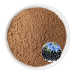 Nigella Sativa Extract Supplier - OEM Herbal Supplement Natural Products