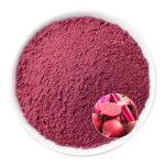 Beetroot Red Powder Manufacturer - OEM Natural Vegan Color Plant Meat