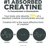 Creatine Monohydrate Capsules Manufacturer - Vegan Muscle Strength Power