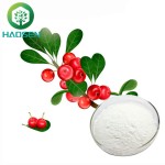Alpha-Arbutin Powder Supplier - Cosmetic Grade Skin Whitening OEM