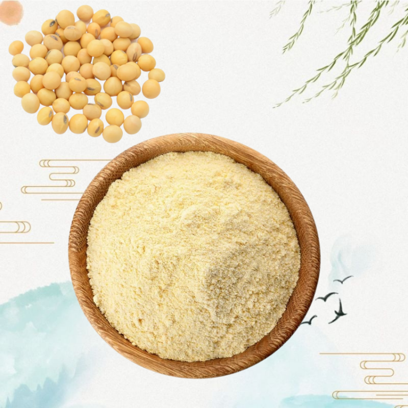 Soy Lecithin Powder Manufacturer - Liquid Powder Factory Supply