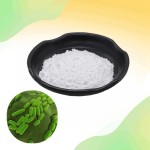 Bacillus Subtilis Powder Manufacturer - Food Additive Factorial Supply