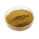 Probiotics Powder Supplier - Bacillus Subtilis Coagulans Digestive