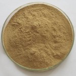Green Coffee Bean Powder Supplier - Pure Natural Extract Wholesale