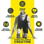 Creatine Monohydrate Capsules Manufacturer - Vegan Muscle Strength Power
