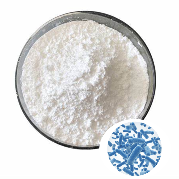 Bifidobacterium Bifidum Powder Manufacturer - Competitive Price Purity