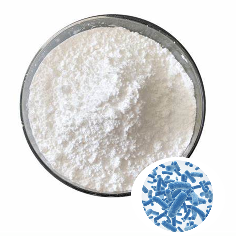 Bifidobacterium Bifidum Powder Manufacturer - Competitive Price Purity