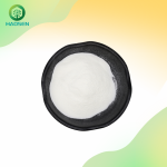 Lactococcus Lactis Powder Manufacturer - Probiotics Supplement Quality